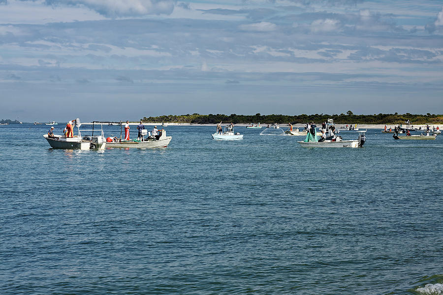 Many Fishing Boats Photograph by Sally Weigand