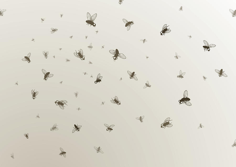 Many large and small black flies on a tan background Drawing by Touring