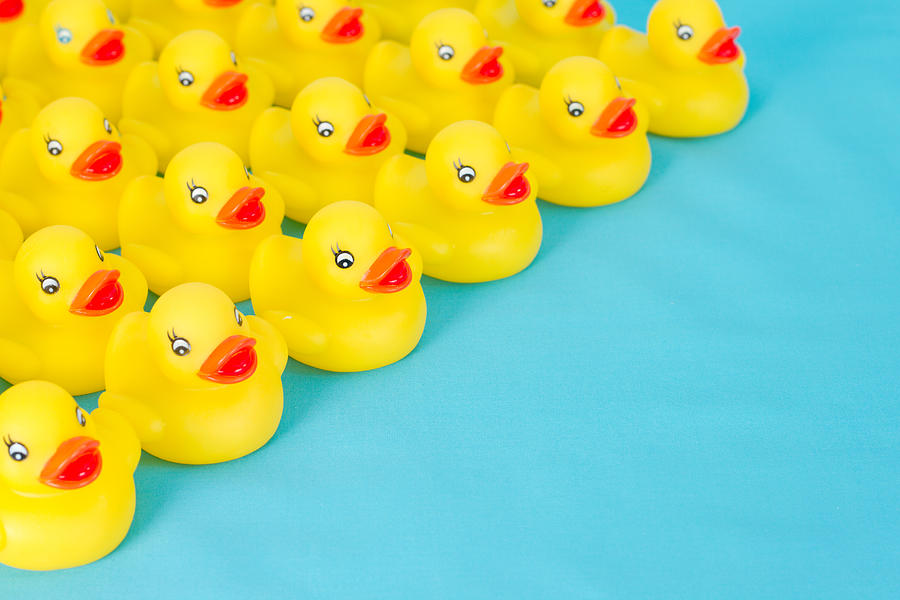 Many rows of yellow rubber ducks on light blue background. Photograph by Diane Labombarbe