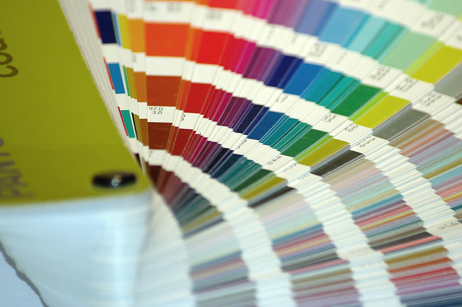 Many shades of paint swatches fanned out  Photograph by Binabina