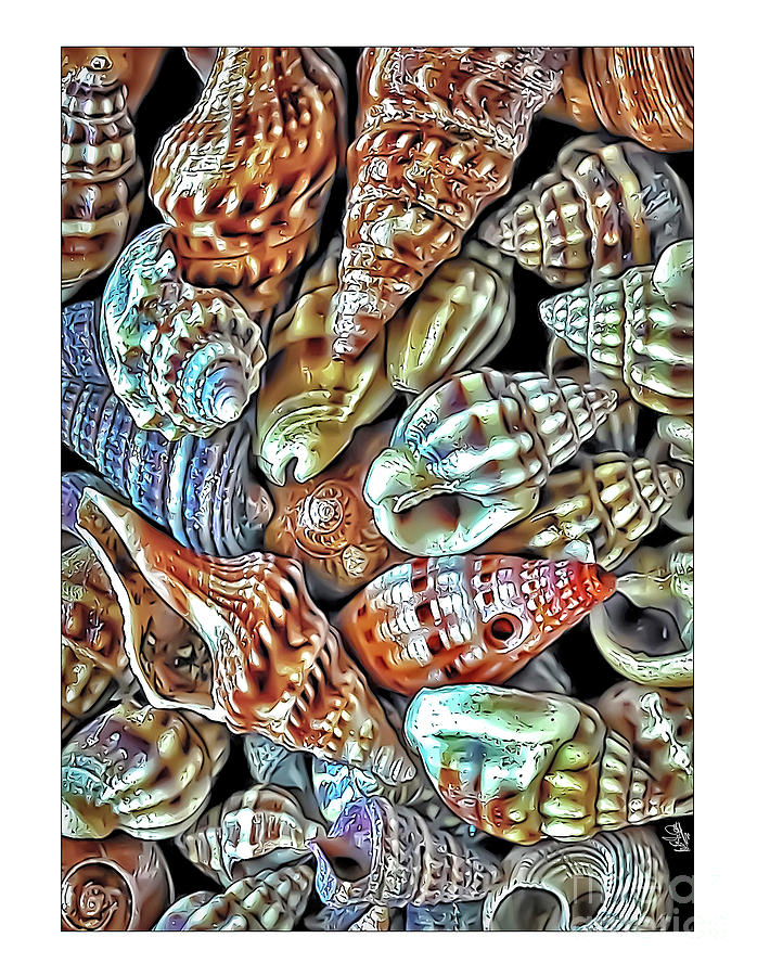 Many Tiny Shells Photograph by Walt Foegelle