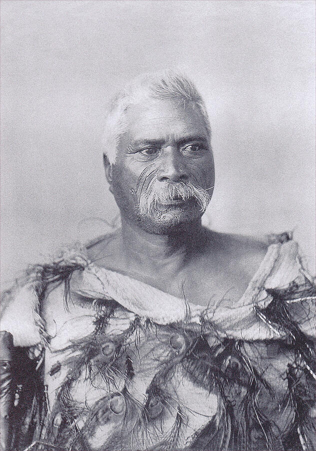 Maori Chief, New Zealand, C1890-1920 Photograph By Arthur James Iles 