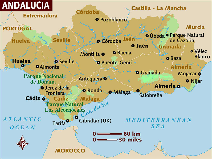 Map of Andalucia. Drawing by Lonely Planet