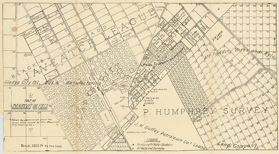 Map of Beaumont Oil Field n p Beaumont Texas circa by Anonymous