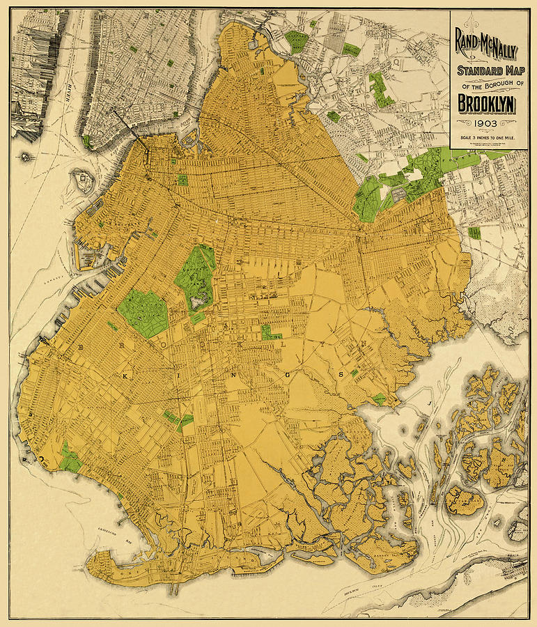 Map Of Brooklyn 1903 Photograph