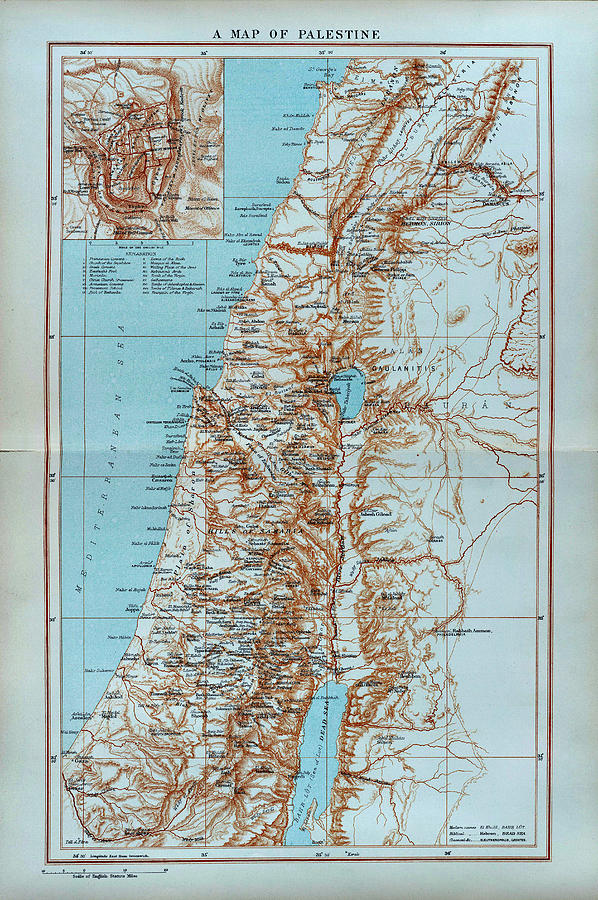 Map of Palestine 1881 Drawing by Oriental Views - Fine Art America