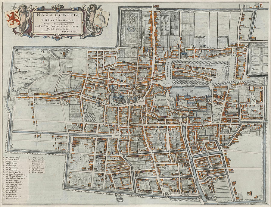 Map of The Hague Drawing by Joan Blaeu - Pixels