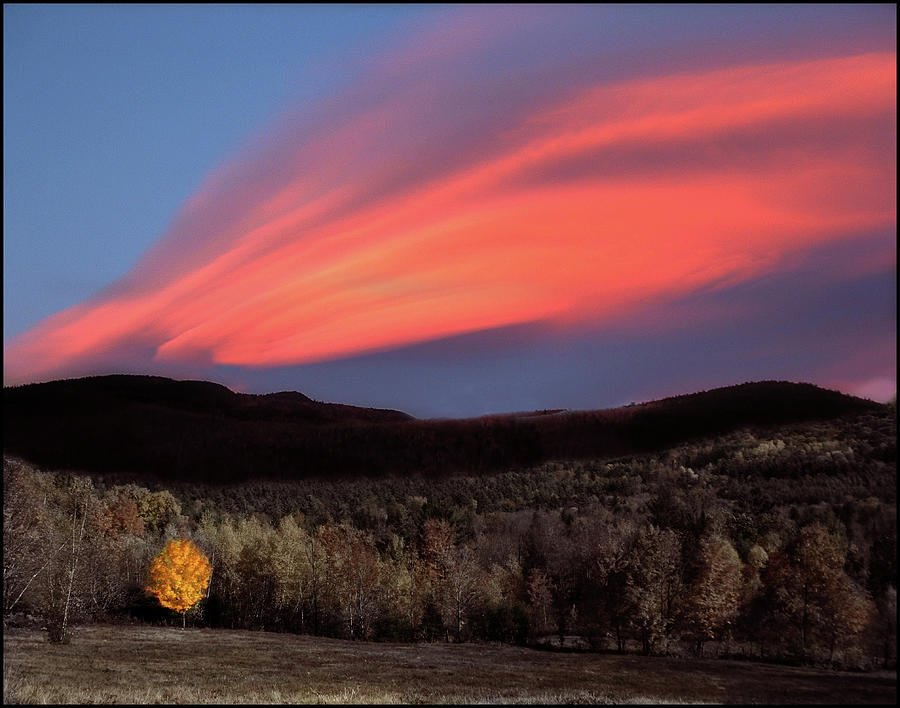 Maple Ablaze at Sunset Photograph by Wayne King