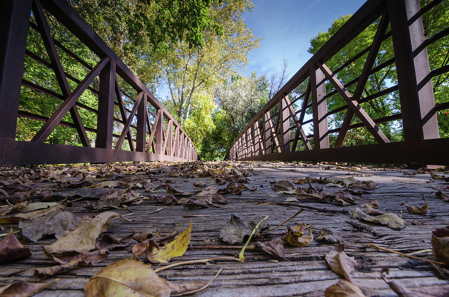 Maple Grove Arboretum Bridge Photograph by Melissa Stukel - Pixels