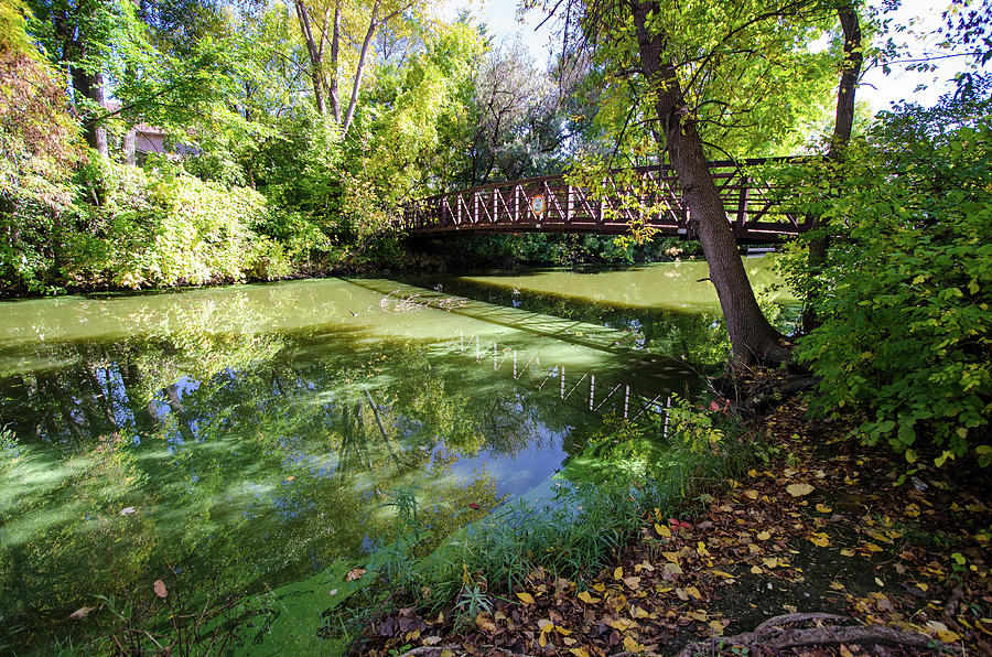 Maple Grove Arboretum Photograph by Melissa Stukel - Pixels