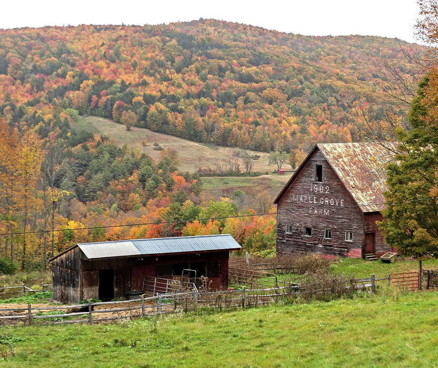 Maple Grove Farm in the Fall Photograph by Scott Miller | Fine Art America