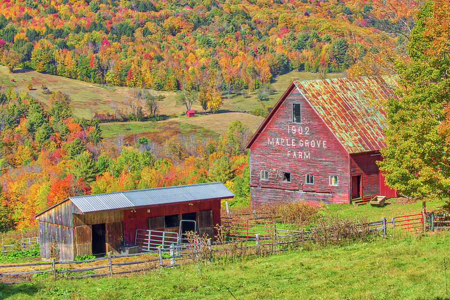 Maple Grove Farm Rural Vermont Photograph by Juergen Roth