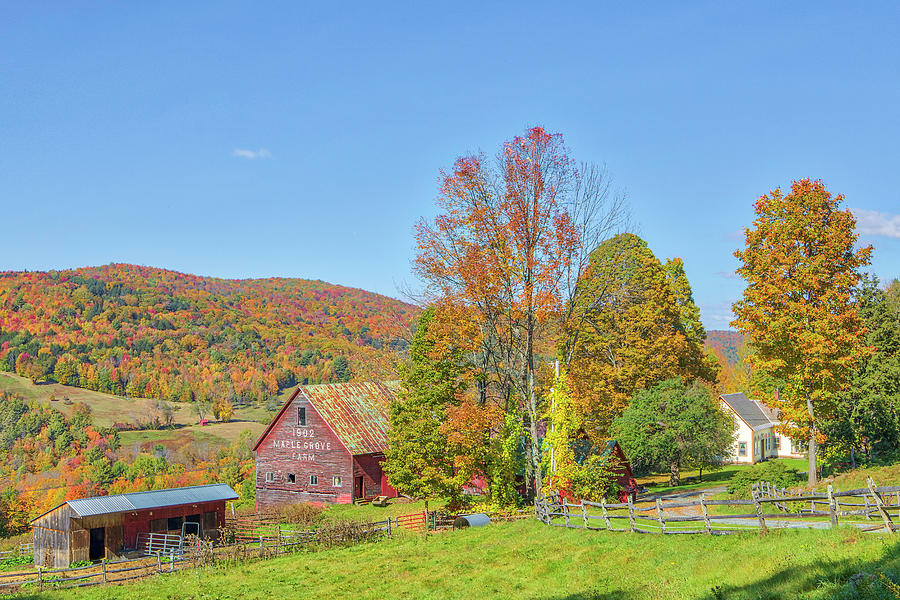 Maple Grove Farm Vermont Fall Colors Photograph by Juergen Roth