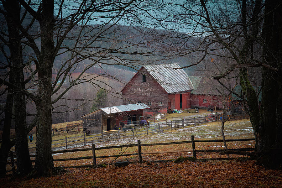 Maple Grove Farm - Vermont Red Barn Art Photograph by Joann Vitali