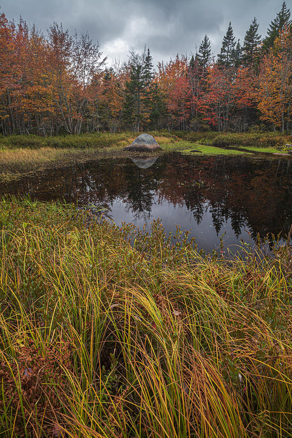 Maple Lake Fall Inlet Photograph by Irwin Barrett