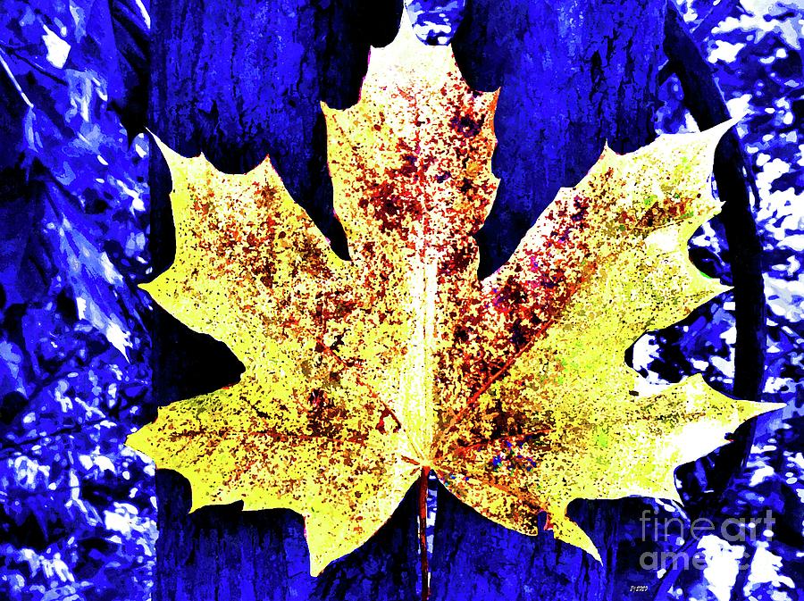 Nature Mixed Media - Maple Leaf in Blue Nature  by Daniel Janda