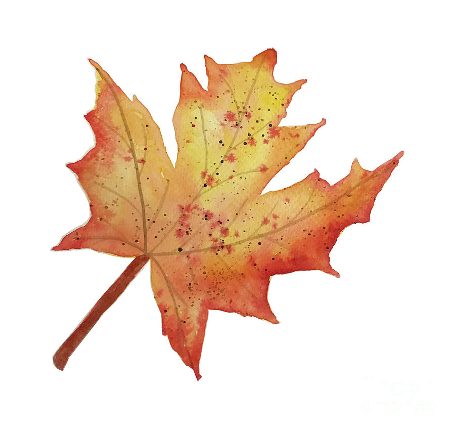 Maple Leaf Painting by Lisa Neuman