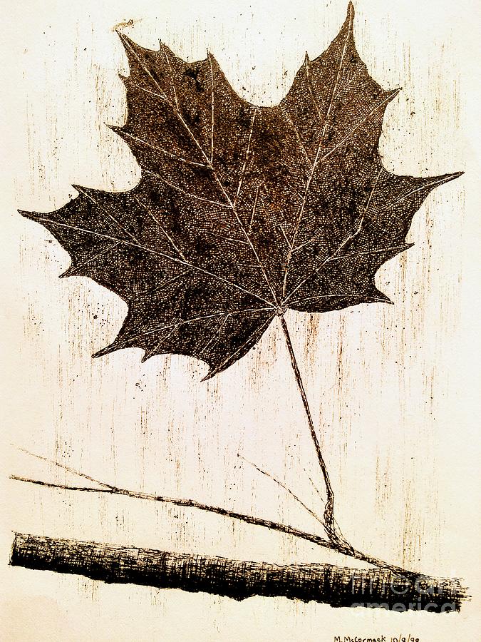 Maple Leaf Study Drawing