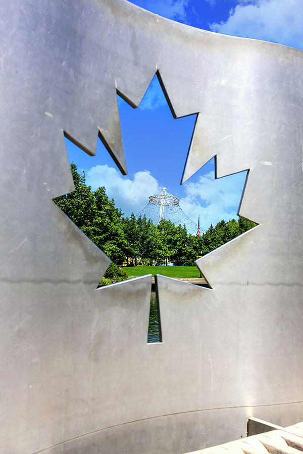 Maple Leaf View Photograph by Chris Smith
