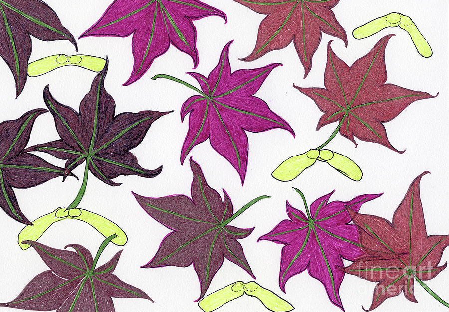 Maple Leaves Design Painting by Norma Appleton