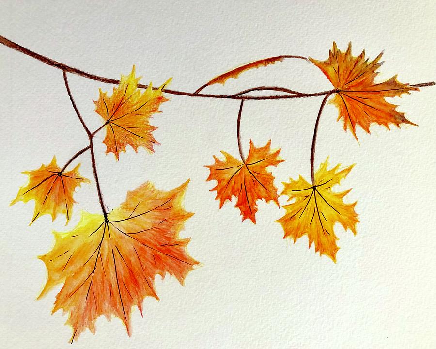 Maple Leaves on a Branch Painting by Kirsten Giving