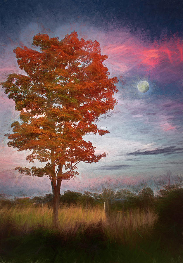 Maple Moon Mindscape Photograph by Wayne King