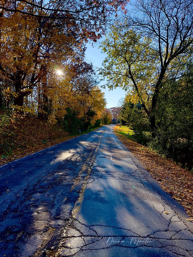 Maple Road in Autumn Photograph by Donna Martin