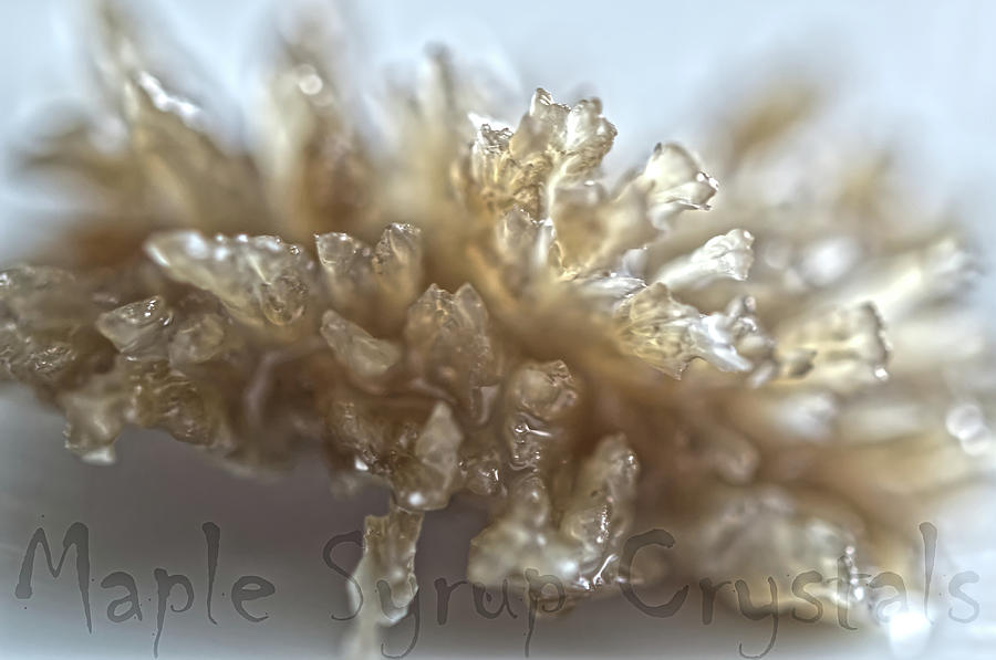 Maple Syrup Crystals Photograph by Elaine Berger