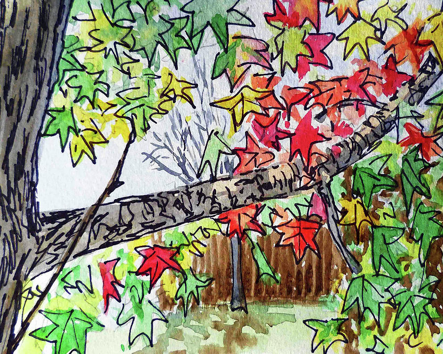 Maple Tree Branch Red Yellow Green Leaves Watercolor  Painting by Irina Sztukowski