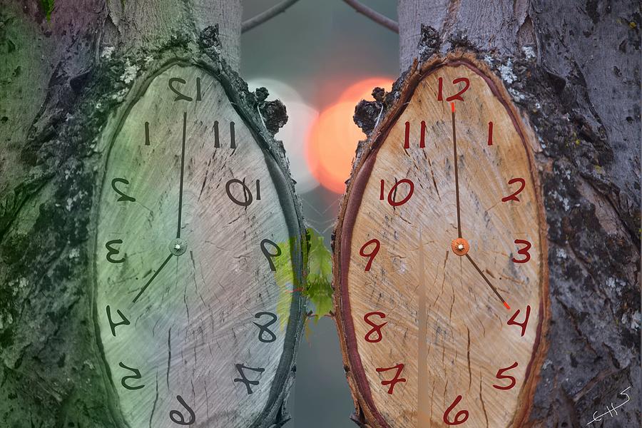Tree Clocks Mixed Media by SC Heffner
