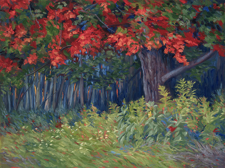 Maple Tree in the Fall Painting by Lucie Bilodeau