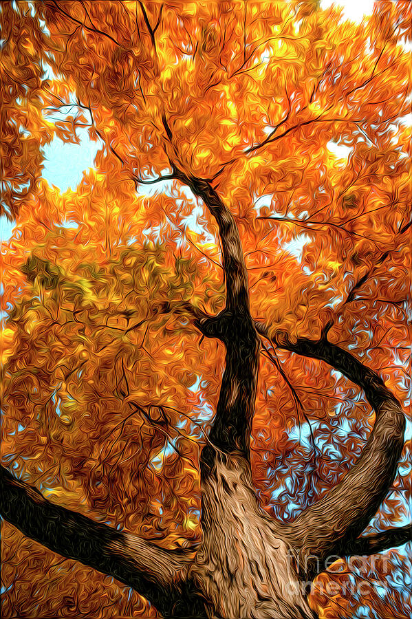 Maple tree on Ann Street Digital Art by William Gunn Maple tree on Ann Street Digital Art by William Gunn