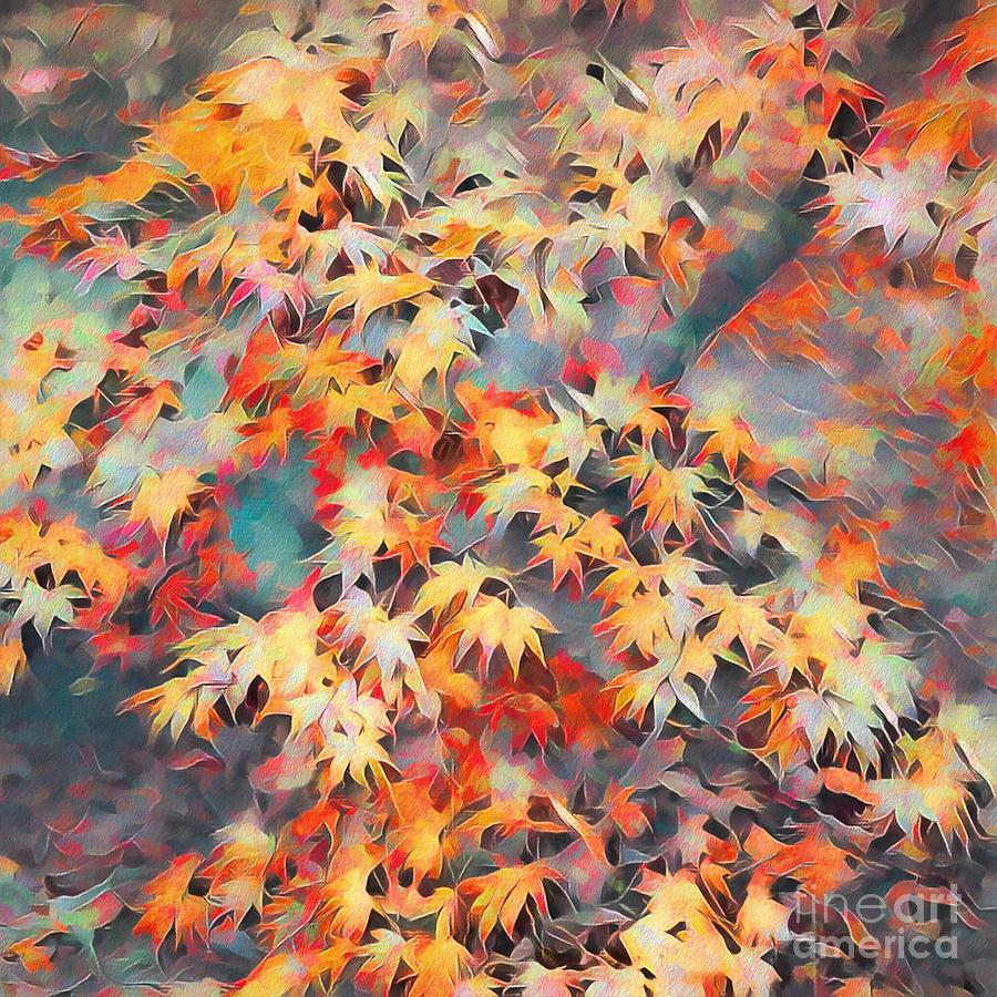 Maple Tree With Autumn Leaves Photograph by Philip Preston
