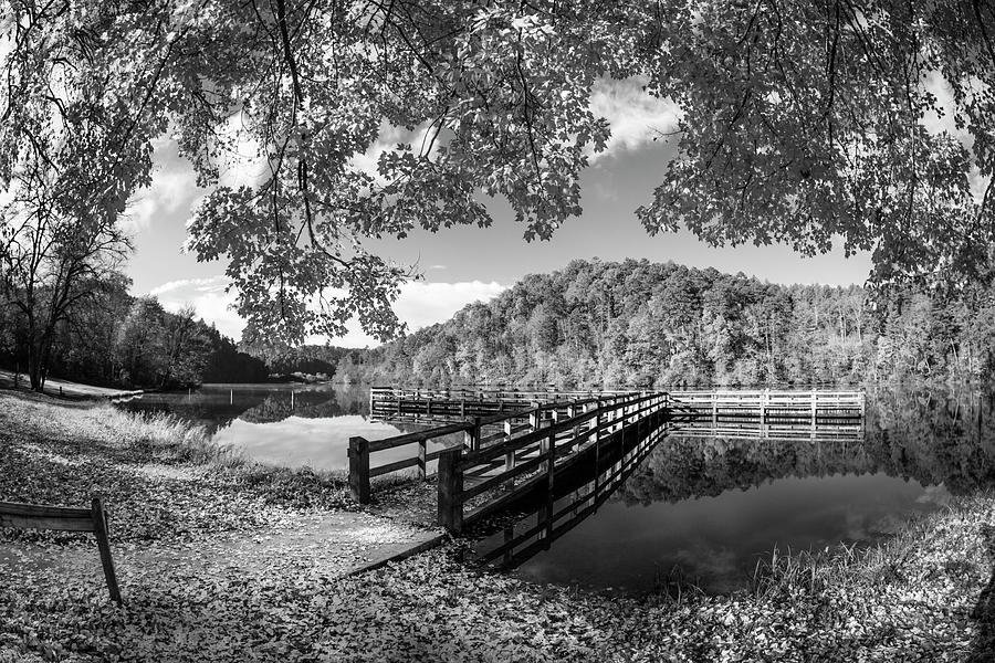 Maple Trees at the Docks Black and White Photograph by Debra and Dave Vanderlaan Pixels