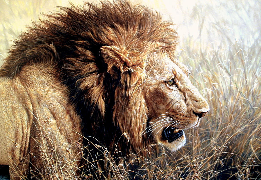 Mara Monarch - Male Lion Painting by Alan M Hunt