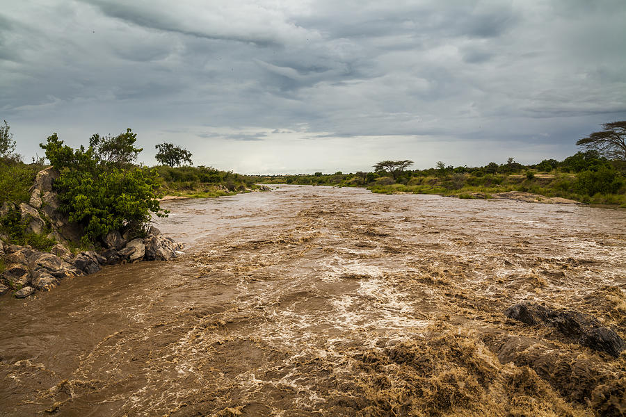 Mara River during the rainy season Photograph by Anton Petrus