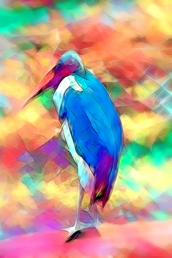 Marabou Stork Abstract Photograph by Her Arts Desire