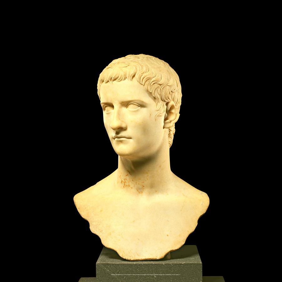 Marble Portrait Bust Of The Emperor Gaius, Known As Caligula Digital ...