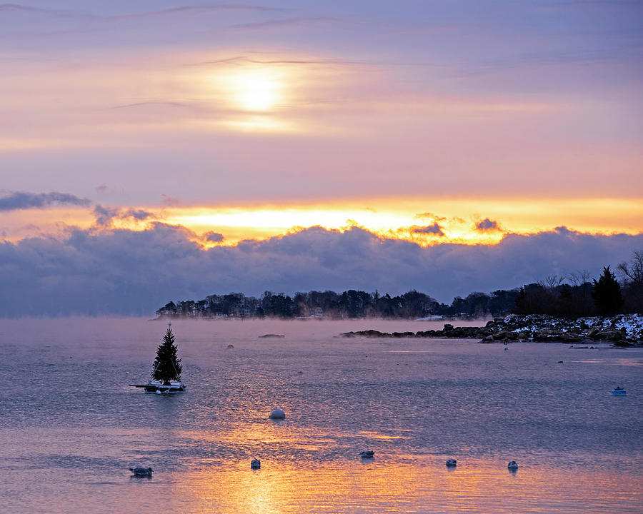 Marblehead Little Harbor Christmas Tree on a Row Boat Sunrise Photograph by Toby McGuire