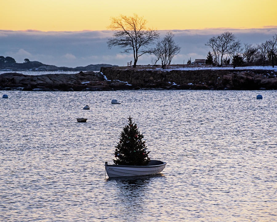 Marblehead MA Little Harbor Row Boat Christmas Tree at Sunrise Gerry Island Row Boat Photograph by Toby McGuire