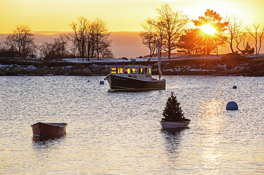 Marblehead MA Little Harbor Row Boat Christmas Tree at Sunrise Gerry Island Photograph by Toby McGuire