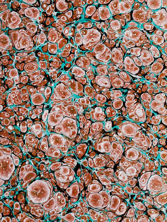 Marbleized Vintage Book Endpaper Red and Turquoise Mixed Media by Lorena Cassady