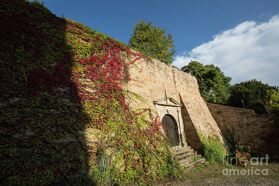 Marburg Castle Wall Photograph by Eva Lechner