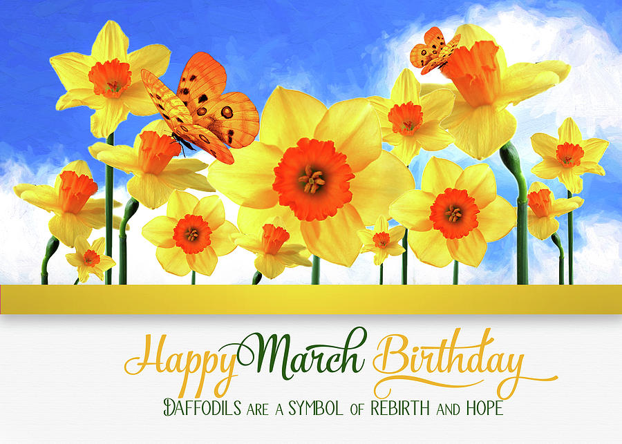 March Birthday Daffodils with Butterflies  Digital Art by Doreen Erhardt