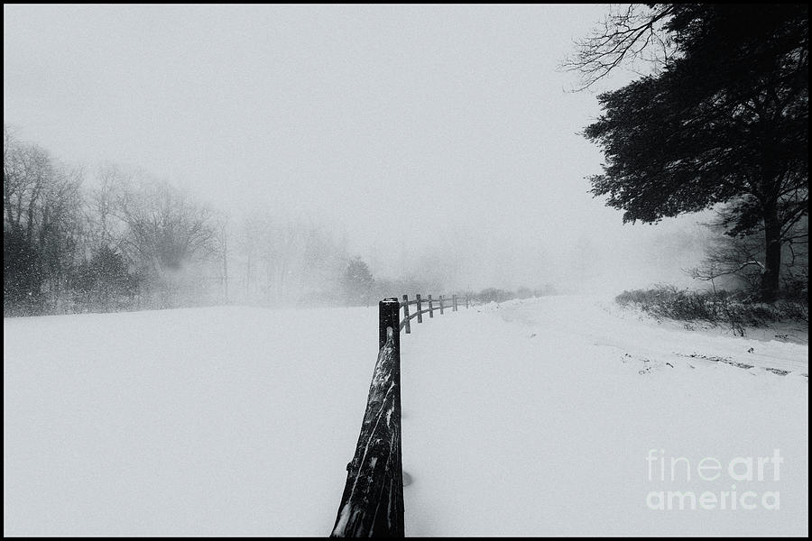 Black And White Photograph - March Blizzard by Renata Natale