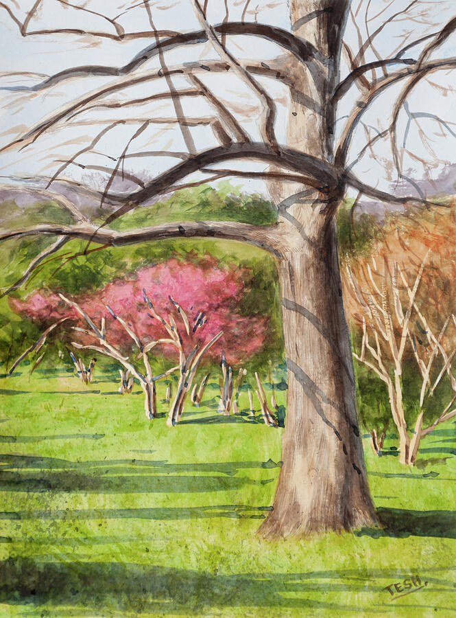 March Blossoms Painting by Tesh Parekh