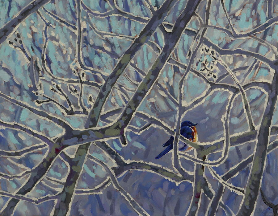 March Bluebird Painting by Phil Chadwick