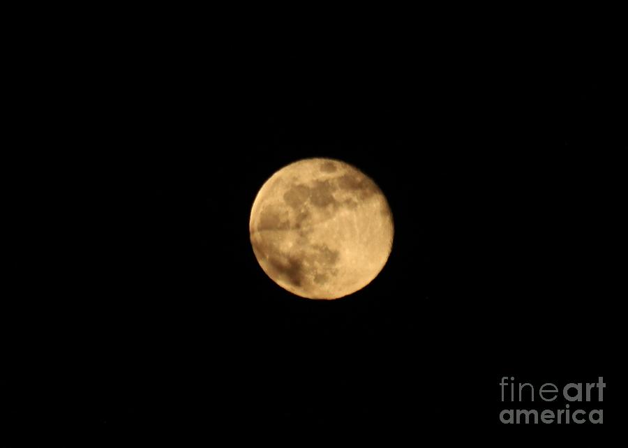 March Moon Photograph by Ann E Robson