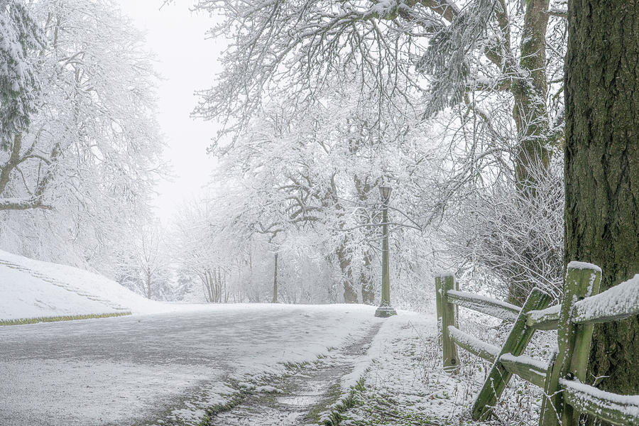 March Snow on Mount Tabor Photograph by Kevin Morefield - Fine Art America