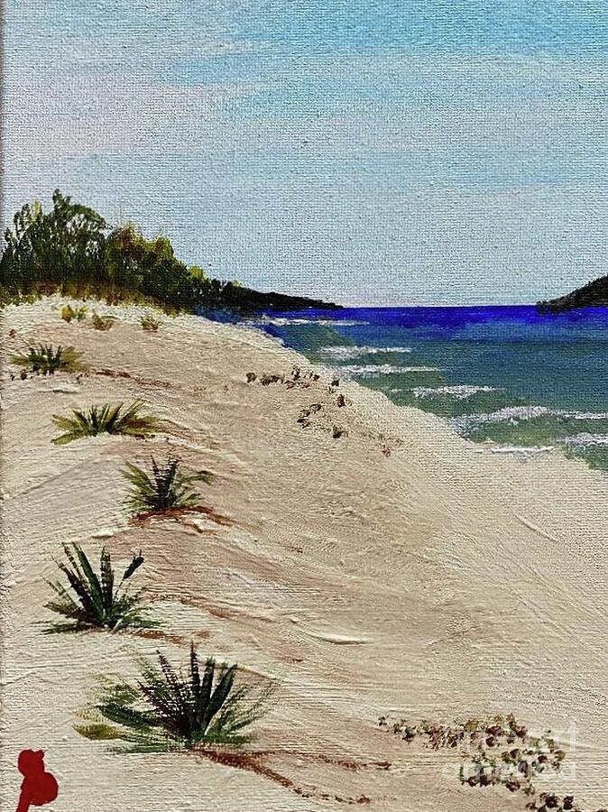 Marco Island Beach Painting by Debbie Steiner | Fine Art America